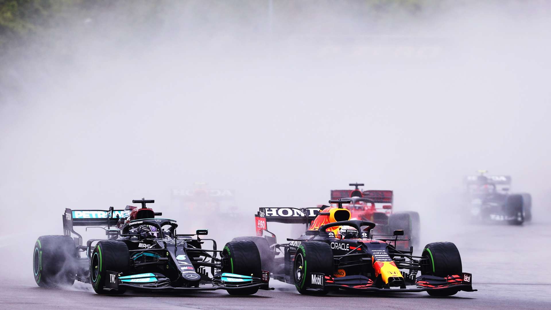 定表现为雄 定表现为雄